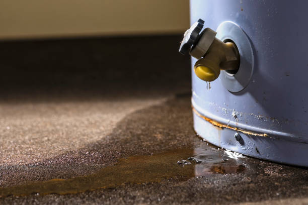 Best Local water damage restoration  in Wyoming, IL