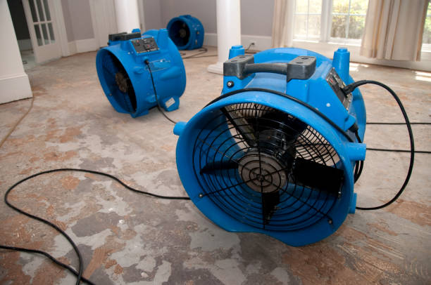 Best Water damage contractors near me  in Wyoming, IL