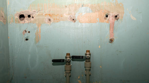 Best Flooded house restoration  in Wyoming, IL