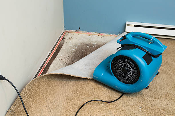 Carpet water damage restoration in IL